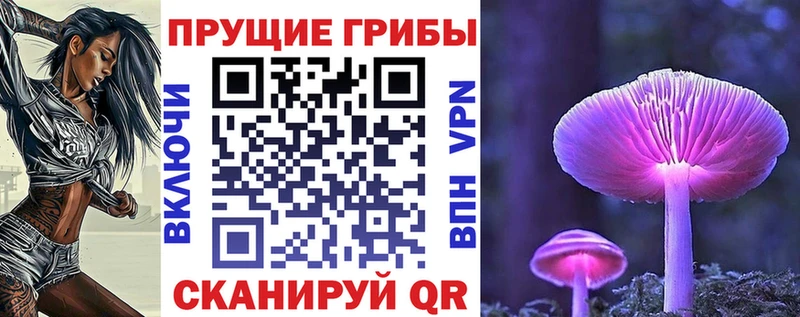 магазин    Горячий Ключ  Псилоцибиновые грибы ЛСД 